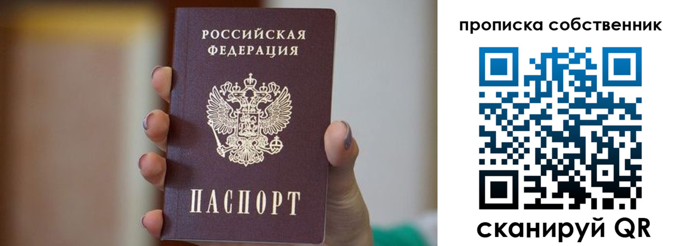 прописка поиск в Курганинске